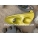 Фар десен SMART FORTWO ROADSTER w452 03-07